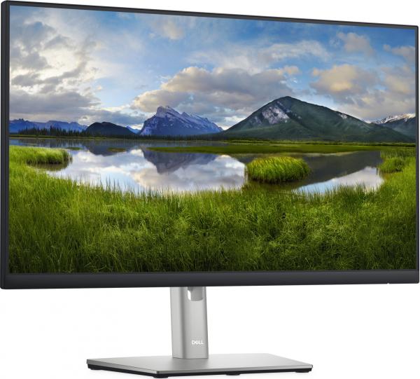 LCD 24" IPS LED DELL P2422H - Repas